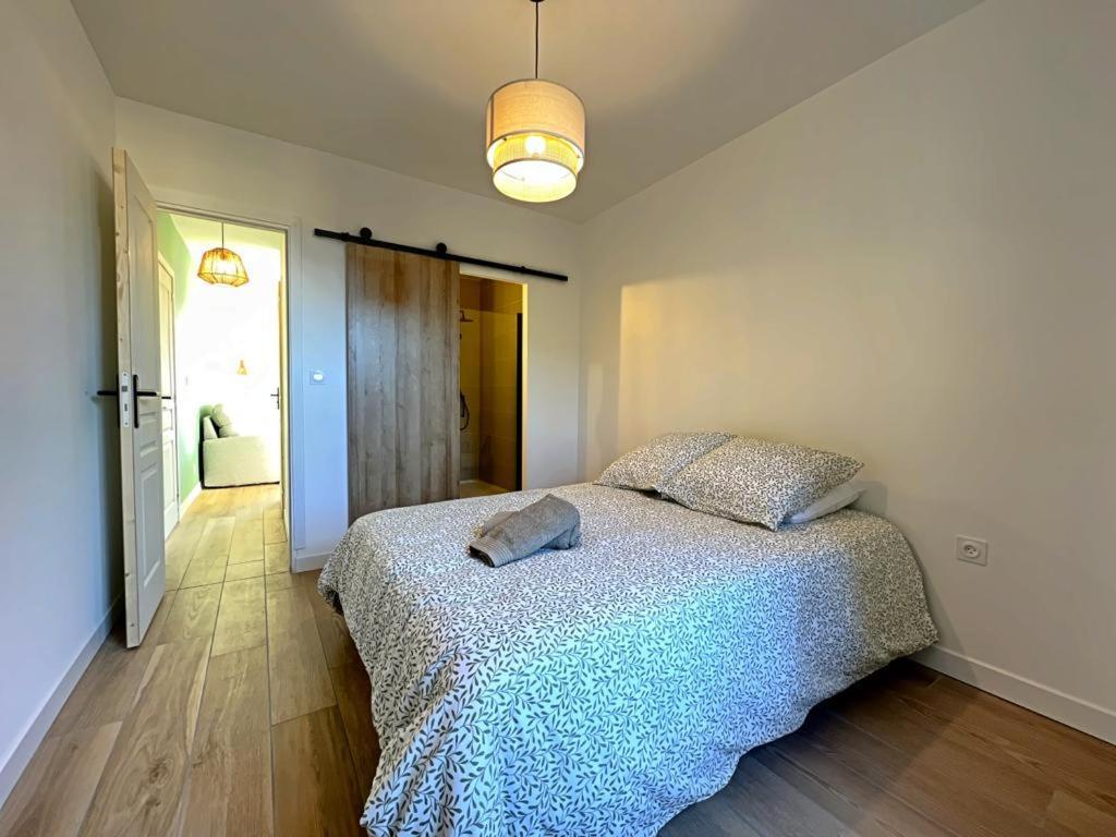 Appartement Coup De Coeur. St Etienne-Rochetaillee Saint-Etienne  Exterior photo